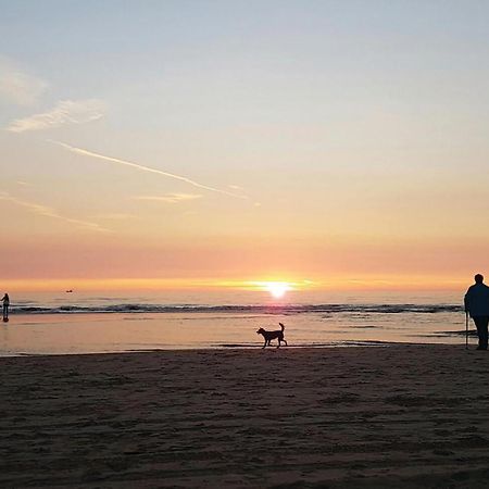 2 Bedroom Pet Friendly Home In Egmond Aan Zee Exteriér fotografie