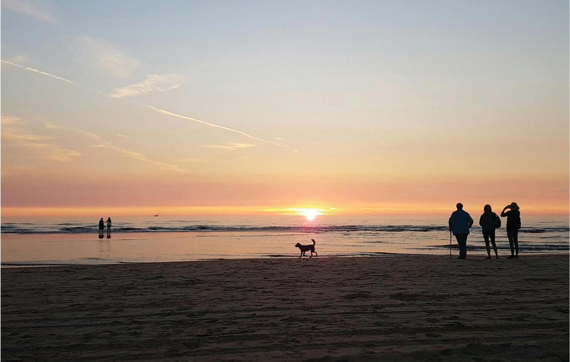 2 Bedroom Pet Friendly Home In Egmond Aan Zee Exteriér fotografie